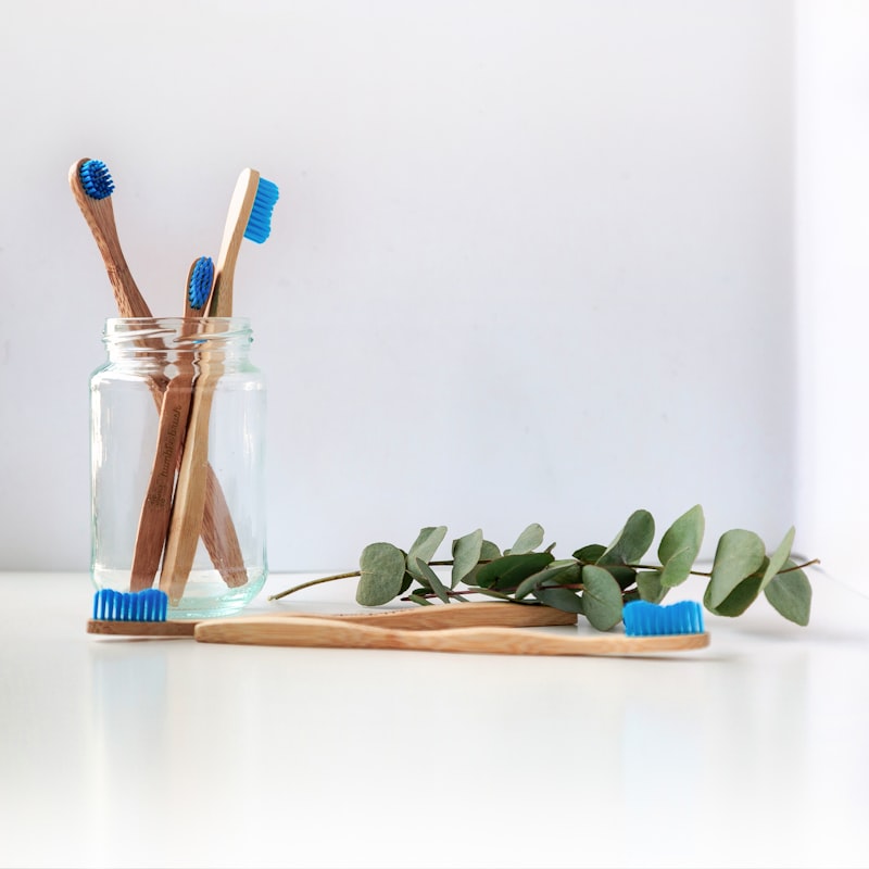 Eco-Friendly Biodegradable Bamboo Toothbrush Family 4-Pack